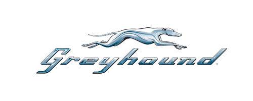 Greyhound